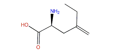 (S)-2-Amino-4-methylenehexanoic acid